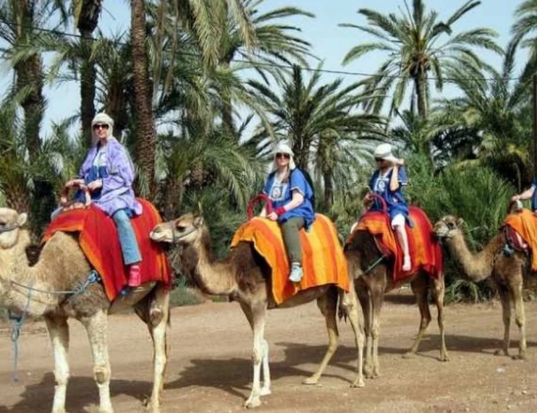 Palmeraie-on-camels-2-1