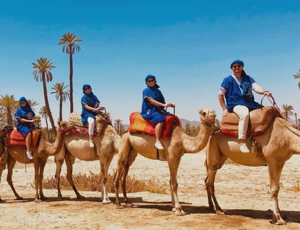 Palmeraie-on-camels